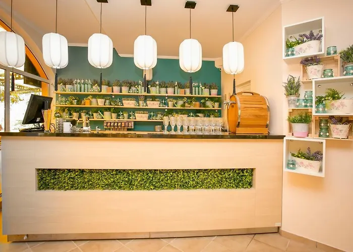 Touristic Complex Hacienda 索佐波尔